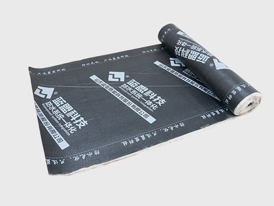 防水材料 創新科技守護建筑安全