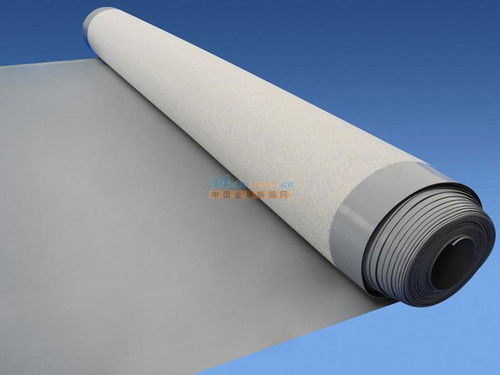 煙臺地區(qū)防水全解析 材料選擇、堵漏技術(shù)與工程實(shí)踐