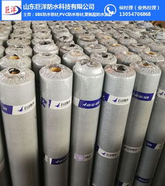 深入解析杭州與山東巨洋耐根穿刺防水卷材 關(guān)鍵技術(shù)、檢測(cè)標(biāo)準(zhǔn)與市場(chǎng)應(yīng)用